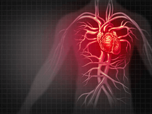 A importância do check-up vascular