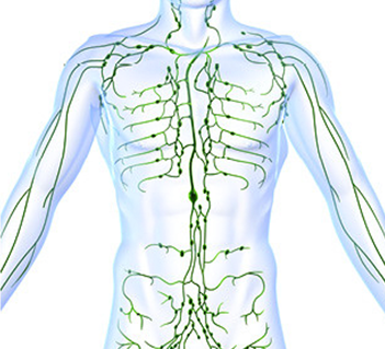 Linfedema e Erisipela